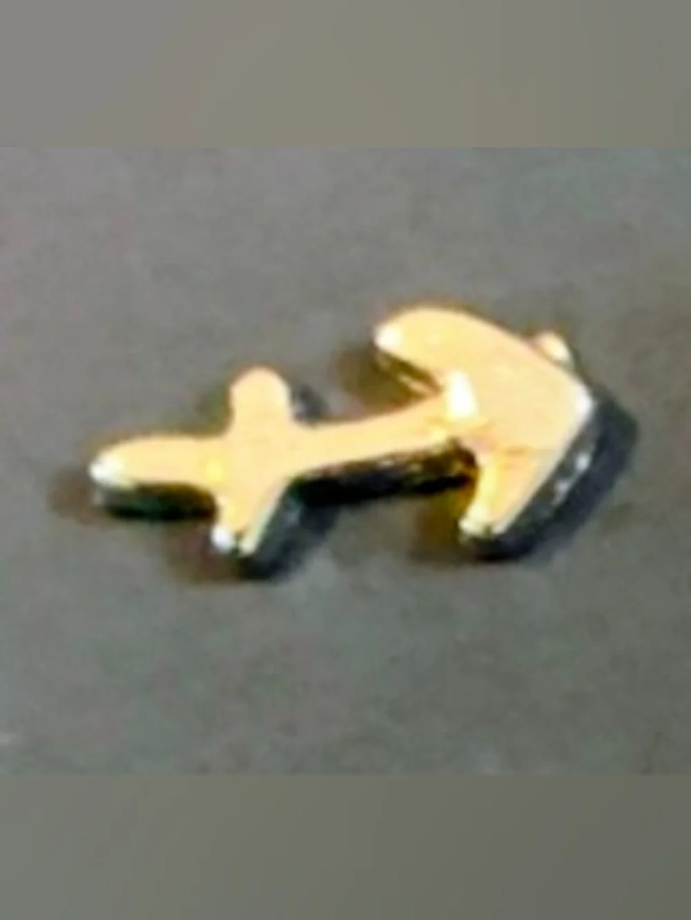 Sagittarius ♐️ Charm For Floating Lockets